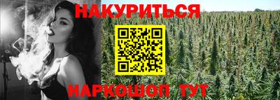 a pvp Новодвинск