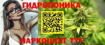 мдпв Обнинск