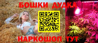 мдпв Обнинск