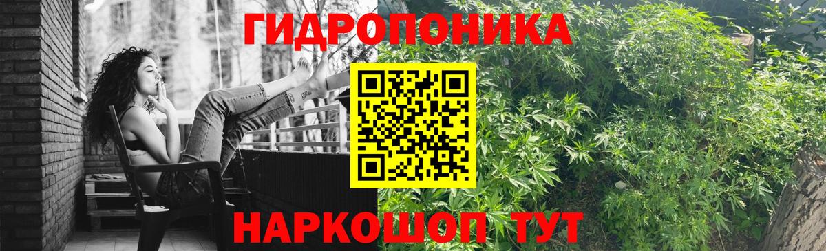 Бошки марихуана Bruce Banner  МАРИХУАНА индика  Солнечногорск  Вход с VPN 